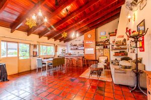 Image 31 - 294436