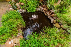 Image 43 - 294436