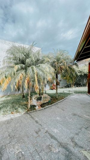 Image 5 - 294502