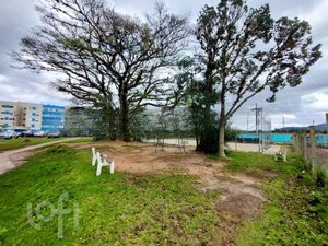 Image 13 - 294515