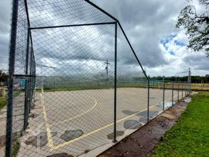 Image 15 - 294515