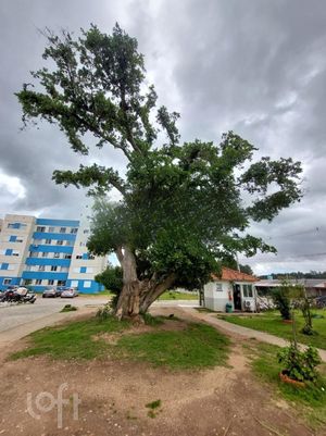 Image 17 - 294515