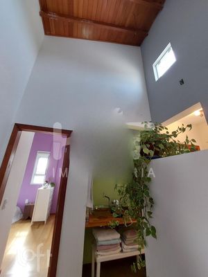 Image 31 - 294623