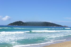 Image 52 - 294623