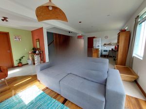 Image 15 - 294623