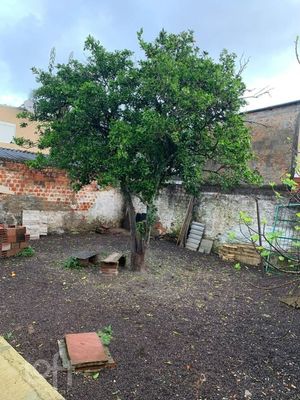 Image 7 - 294647