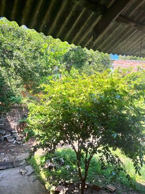 Image 26 - 294658