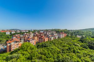 Image 29 - 294704