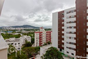Image 8 - 294854