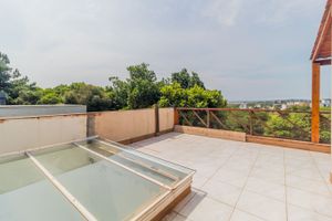 Image 49 - 294909