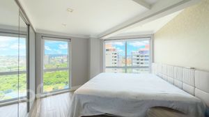 Image 13 - 294922