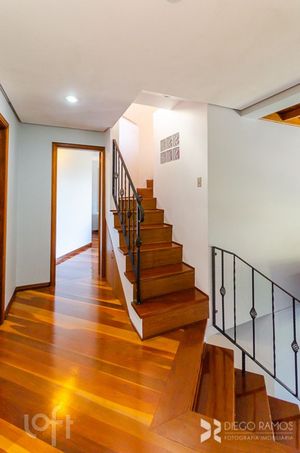 Image 35 - 294988