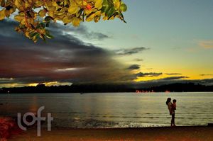 Image 15 - 295144