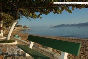 Image 13 - 295144