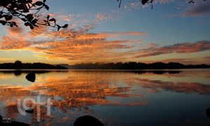 Image 16 - 295144