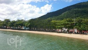 Image 12 - 295144