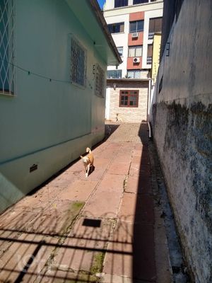 Image 20 - 295228