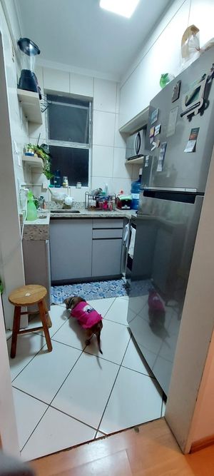 Image 8 - 295370