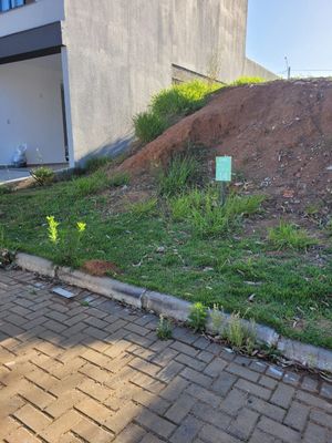 Image 2 - 295450