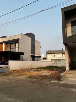 Image 5 - 295494