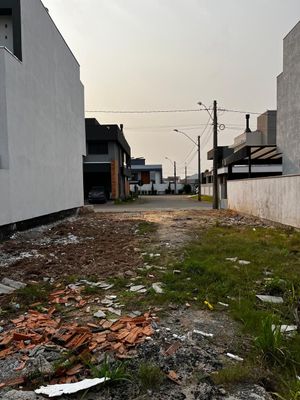 Image 7 - 295494