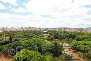 Image 19 - 295527