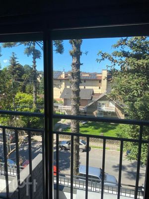 Image 17 - 295551