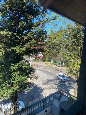 Image 19 - 295551