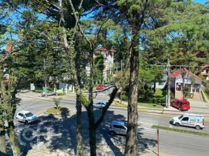 Image 21 - 295551