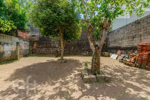 Image 38 - 295564