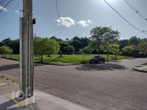 Image 8 - 296302