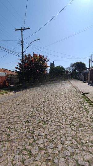 Image 7 - 296657