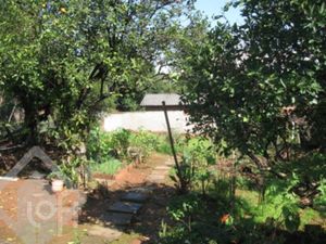 Image 8 - 296677