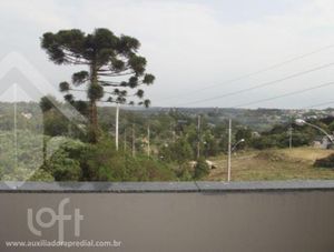 Image 9 - 296686