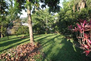 Image 2 - 297009