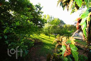Image 13 - 297009