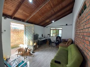 Image 9 - 297146