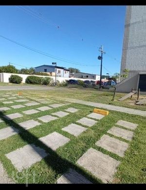 Image 5 - 297354