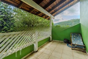 Image 11 - 297517