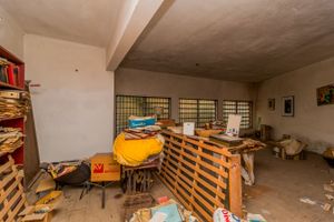 Image 34 - 297565