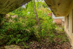 Image 39 - 297565