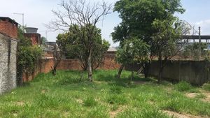 Image 5 - 297821