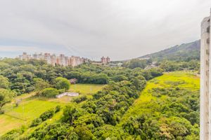 Image 6 - 297843