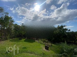 Image 28 - 297990