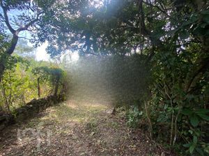 Image 29 - 297990