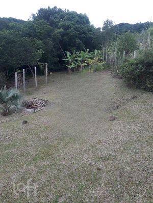 Image 21 - 297990