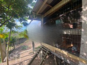 Image 26 - 297990