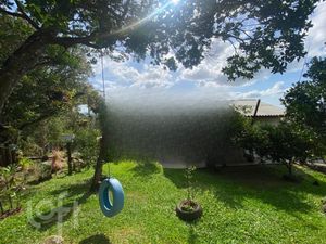 Image 24 - 297990