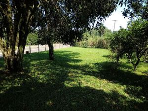 Image 7 - 298275
