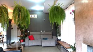 Image 8 - 298334